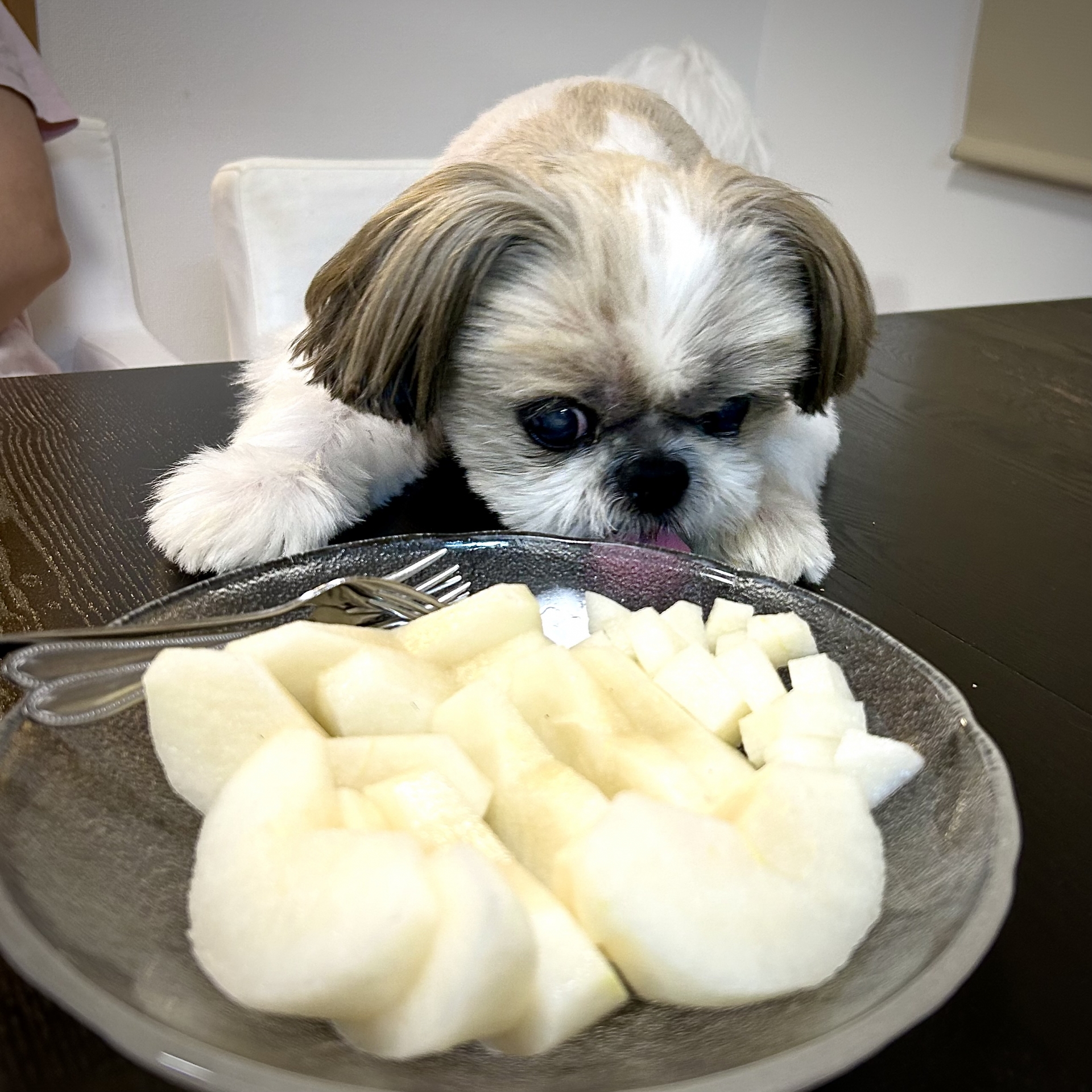 犬に梨を与えるときの注意点と安全な量